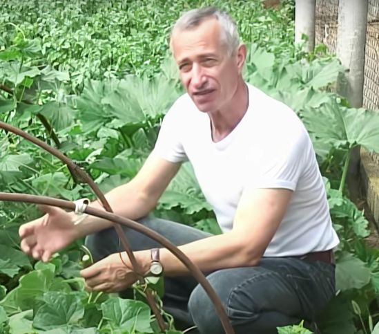 как вернуть огурец ?